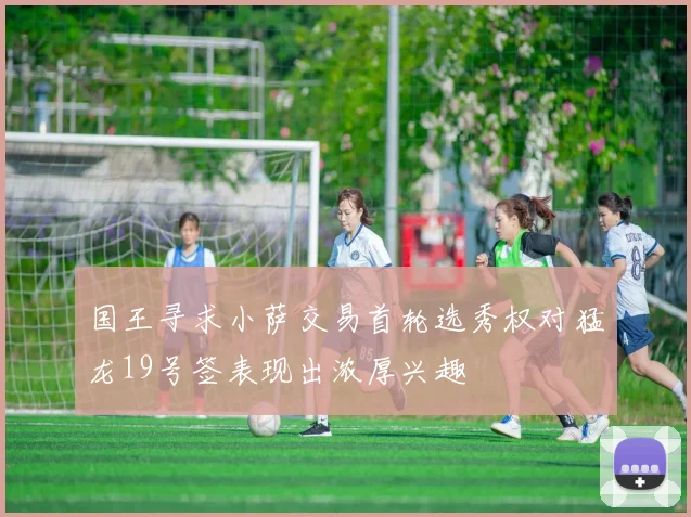 国王寻求小萨交易首轮选秀权对猛龙19号签表现出浓厚兴趣