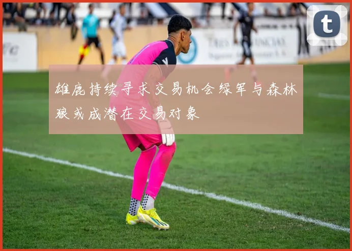雄鹿持续寻求交易机会绿军与森林狼或成潜在交易对象