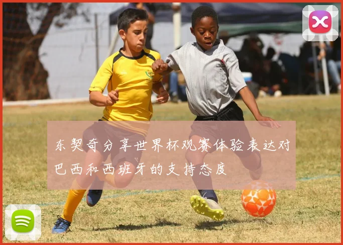 东契奇分享世界杯观赛体验表达对巴西和西班牙的支持态度